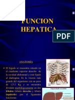 Funcion hepatica