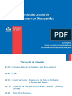 Clase Inclusión Laboral 2013.pdf