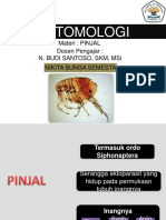 Powerpoint Materi PINJAL