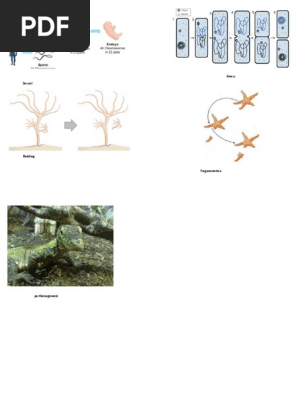 Interactive Notebook