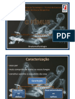 Microsoft PowerPoint - PPT Femur (Só de Leitura)