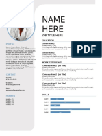 CV Template 2