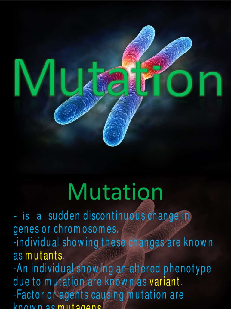 Project On Mutation Class 12 PDF