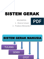 Sistem Gerak