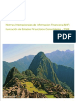 IFRS Perú 2009