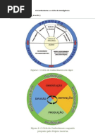 O Combatente e o Ciclo de Inteligência