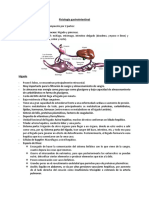 Fisiología Gastrointestinal