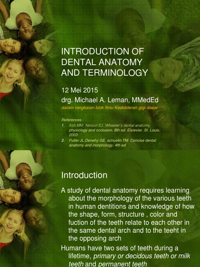 Concise Dental Anatomy And Morphology 4th Edition USA Online devtechtatva.manipal.edu