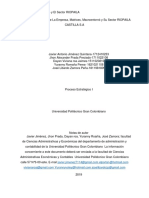 Análisis Del Macroentorno y El Sector RIOPAILA - Entregado