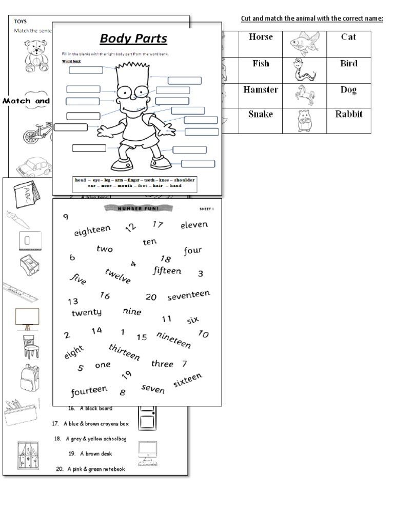 Animal Name and Color Matching Activity | PDF