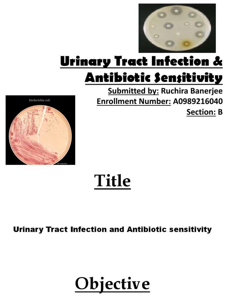 Urinary Tract Infection & Antibiotic Sensitivity | PDF