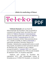 314784758-Analiza-Telekom.doc