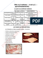 Apostila sobre Pré - História - Resumo.pdf