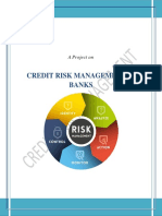 Credit Risk Management in Banks: A Project On