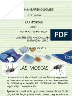 Trabajo de Yeni Bareño (1) de Parasitologia