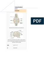 Articulación