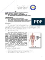 Vascular or Circulatory System Remhil