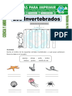 Ficha de Los Invertebrados para Tercero de Primaria