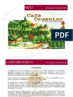 Café Orgánico. Guía Del Caficultor
