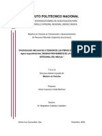 Cortés Martínez C I, 2009 PDF
