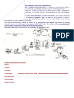 Passé Composé PDF