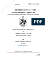 Informe Prácticas Pre-Profesionales FIA USMP Software