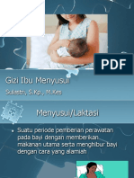 Gizi Ibu Menyusui