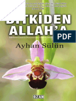 Bitkiden Allah'a