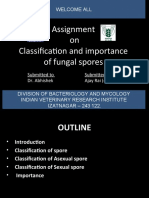 Assignment On Classification and Importance of Fungal Spores