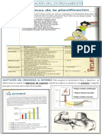 Planificación y Principios Del Entrenamiento