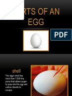 Parts of An Egg 2
