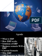 ENTERPRISE RESOURSE PLANNING(E.R.P)ppt