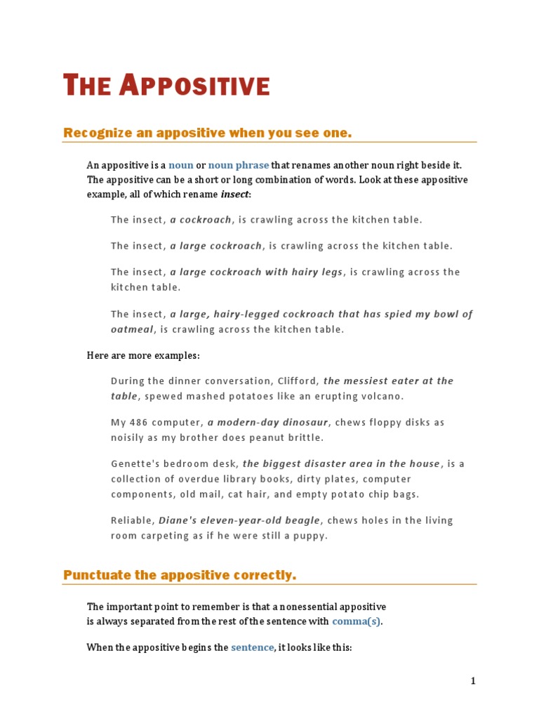 HE Ppositive: Recognize An Appositive When You See One | PDF