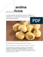 Beneficios nutricionales de la Maca.docx