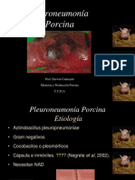 Pleuroneumonia y Poliserositis. Udca PDF