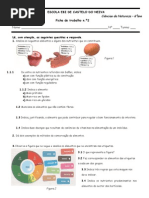 Ficha de Trabalho n.2_digestivo