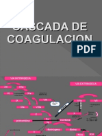Coagulacion y Eicosanoides