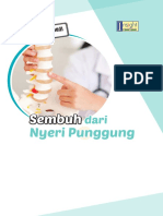 Sembuh Dari Nyeri Punggung