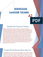 Pemeriksaan Sum Sum Tulang