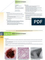 RO BB Infectia Cu Bordetella Bronchiseptica