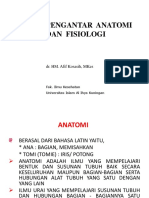 Anatomi Fisiologi