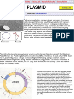 plasmidpdf (1).pdf