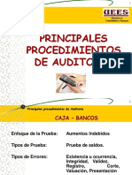 1 Procedimientos de Auditoria Mayo 2016 (1)