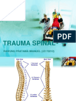 Trauma Spinal - Tama