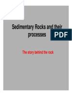 Sedimentary Rocks and Their Processes: The Story Behind The Rock