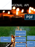 Mengenal Api