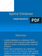 Spatial Database PPT by Junaid