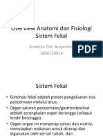 Overview Anatomi Dan Fisiologi Sistem Fekal