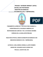 RE_MAESTRIA_DER_KARLA.LLONTO_FUNDAMENTOS.JURIDICOS.Y.FACTICOS_DATOS.pdf