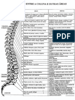 Relação Entre Coluna - Outras Partes